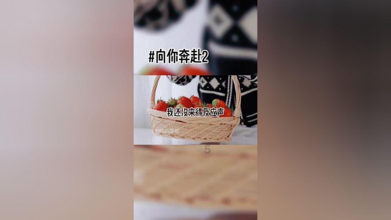 中国象棋启蒙