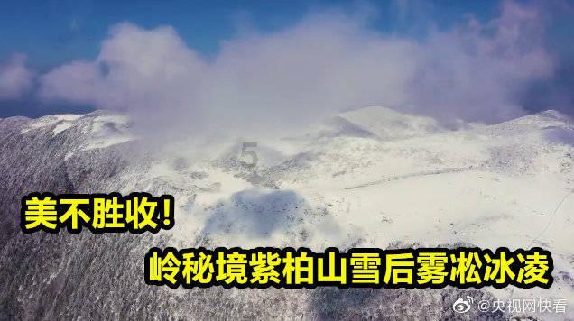 寂静岭：暴雨