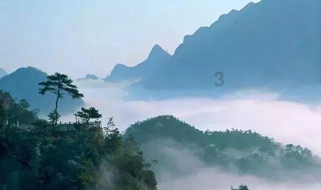 严控碳水竟致脱发？医生：健康减重并不需要完全戒碳水