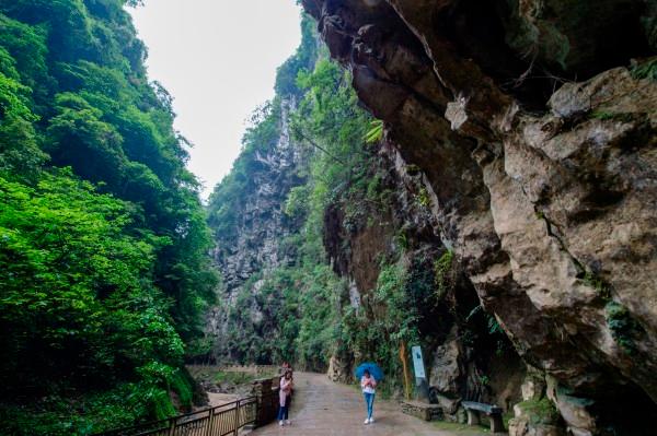 山西多地举办年货节促消费、迎新春