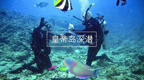流放之路