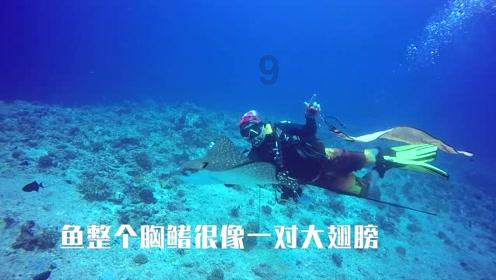 什么东西能去掉咸味？游戏画面