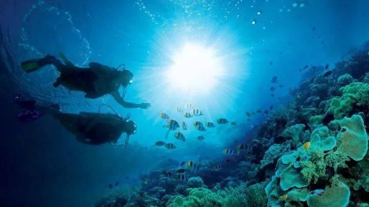 呼和浩特市航天经济开发区投资环境推介会暨重点项目签约仪式举行