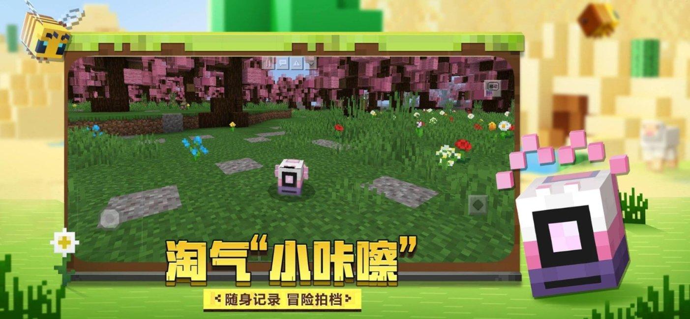 神秘的演员