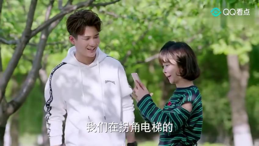 妖精剑士F