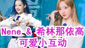 海盗的荣誉