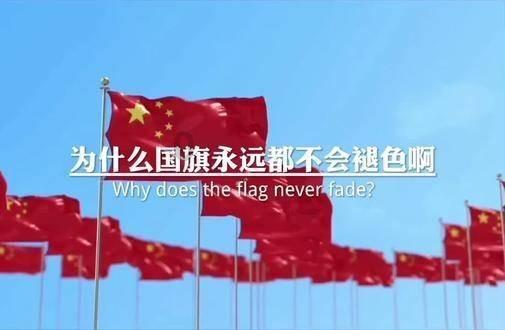我省白杨派山杨新品种“立阳”获国家植物新品种授权