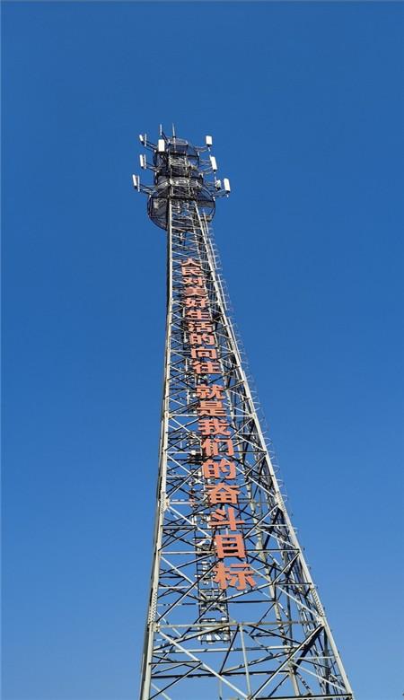 省能源局赴沿河自治县开展乡村振兴调研暨“双联双促”活动