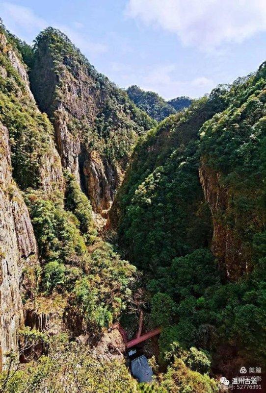 健康管理师补助只有失业人员可以领取吗？游戏画面