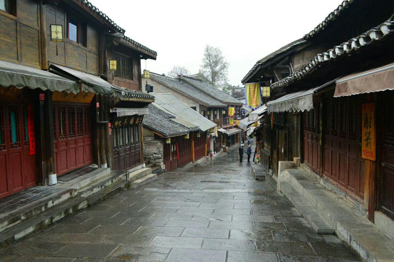 府东街|从牡丹亮相广州塔, 看一座城市的努力