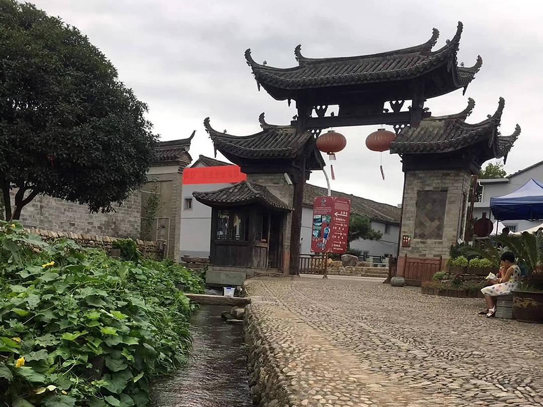 敏捷的白球