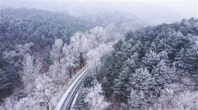 邵阳:探索创新拔尖人才新路径 共绘教育发展美好蓝图