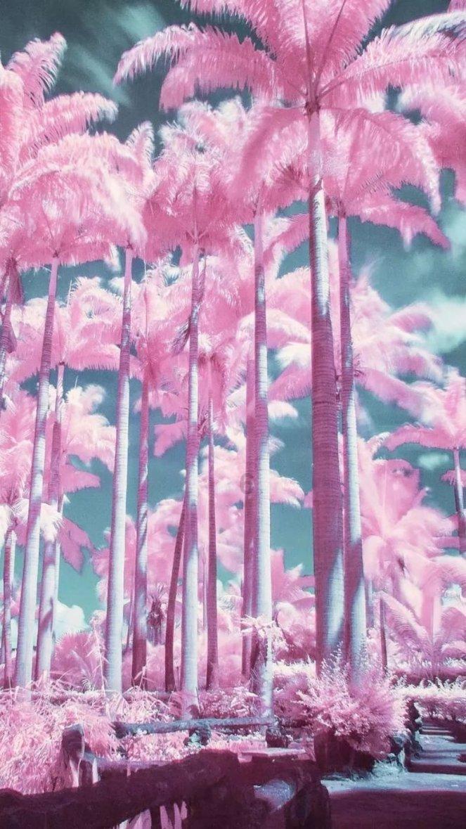 枪弹地牢